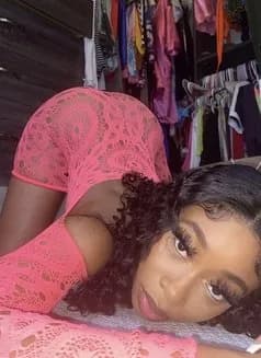 Sonniya's avatar