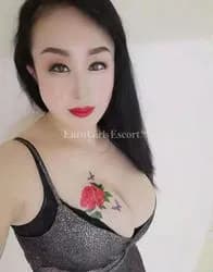 Dongbei's avatar